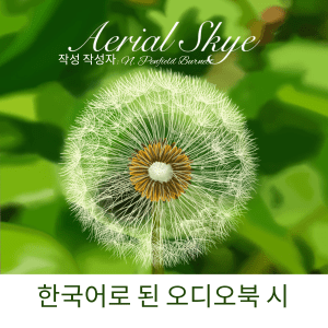 Aerial Skye: 오디오북 스페인어 버전의 오디오 시입니다